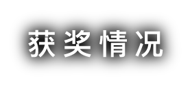 获奖情况